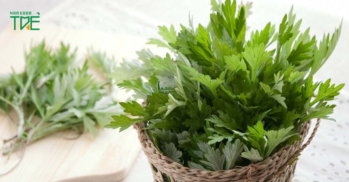 Ngải cứu là thảo dược chữa viêm khớp thái dương hàm hiệu quả