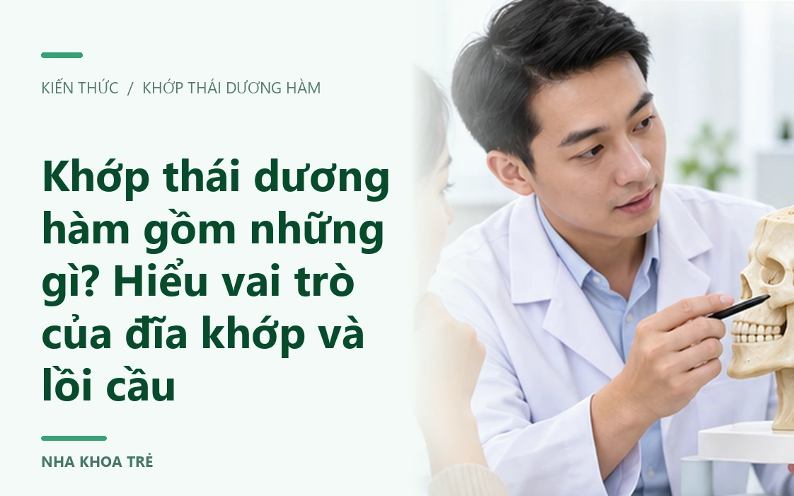 Hình minh họa vùng hàm, cơ nhai và khớp thái dương hàm