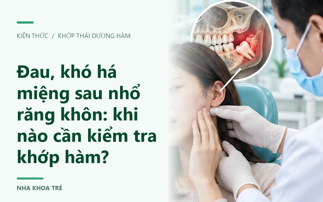 Hình minh họa vùng hàm, cơ nhai và khớp thái dương hàm