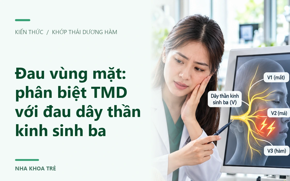 Hình minh họa vùng hàm, cơ nhai và khớp thái dương hàm