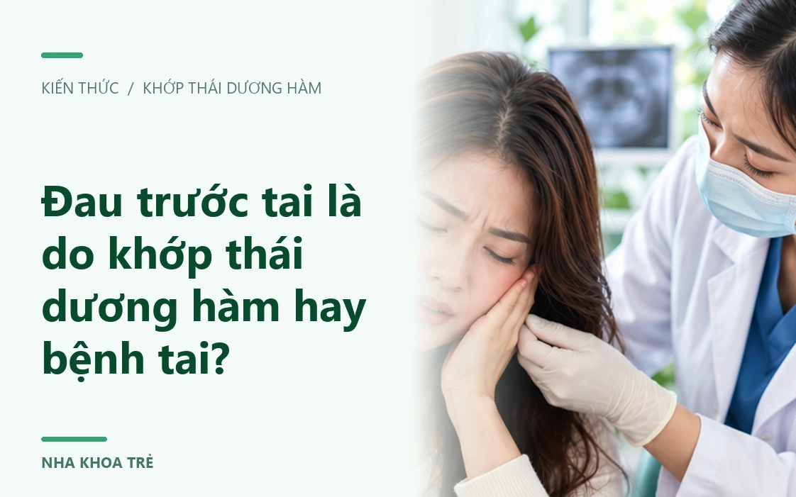 Hình minh họa vùng hàm, cơ nhai và khớp thái dương hàm