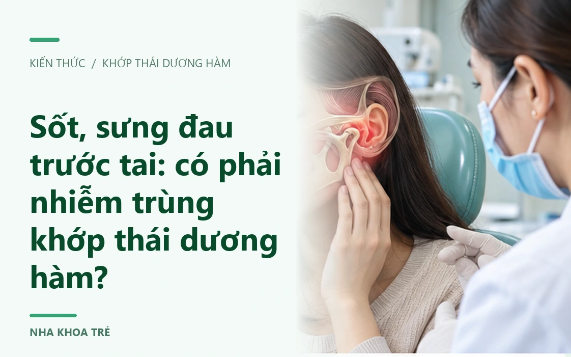Hình minh họa vùng hàm, cơ nhai và khớp thái dương hàm
