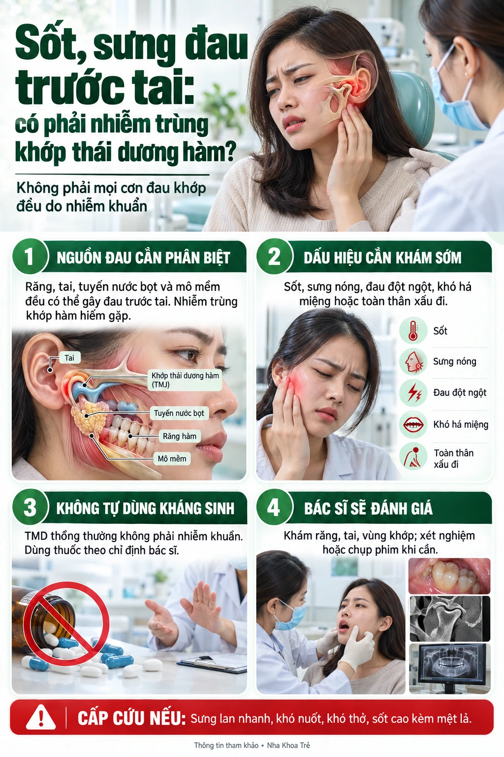 Hình minh họa vùng hàm, cơ nhai và khớp thái dương hàm